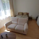 Pension Nad Zlichovem